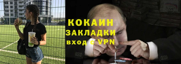 сатива Карпинск