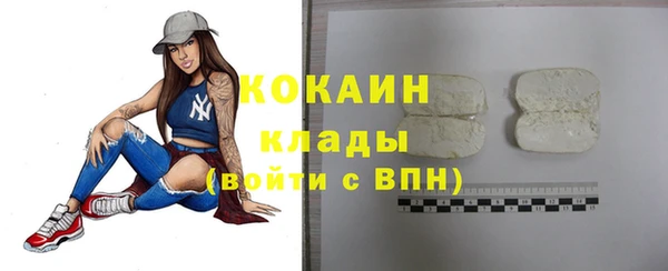 амф Козельск