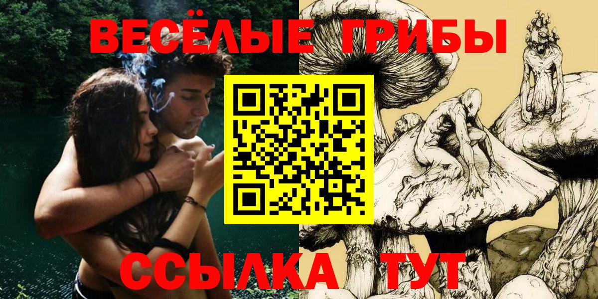 Галлюциногенные грибы MAGIC MUSHROOMS  Вход с VPN  Кашира 