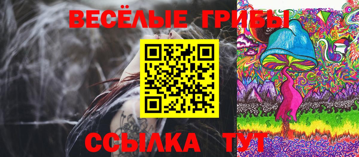 Галлюциногенные грибы Psilocybine cubensis Кашира