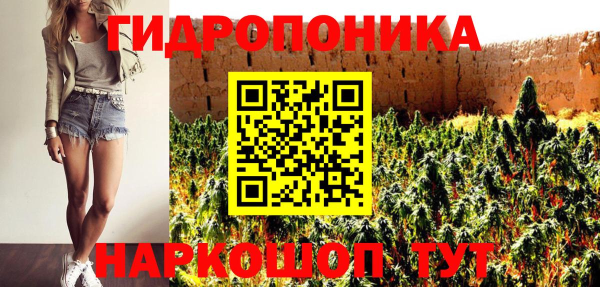 Шишки марихуана конопля Кашира